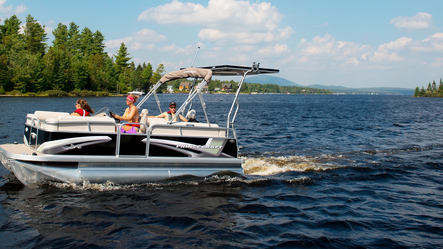 Brio Electric Series